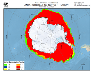 Thumbnail image of Antarctic ice
             concentration chart
